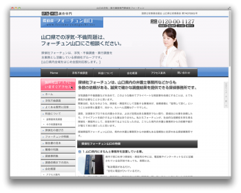 fortune2010