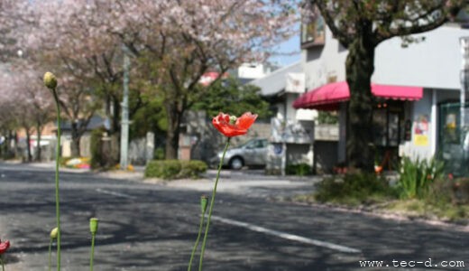 WEB制作業者の選び方!?