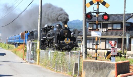 HAGI-TRIP