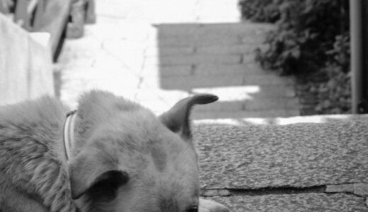 なに見とんねん？