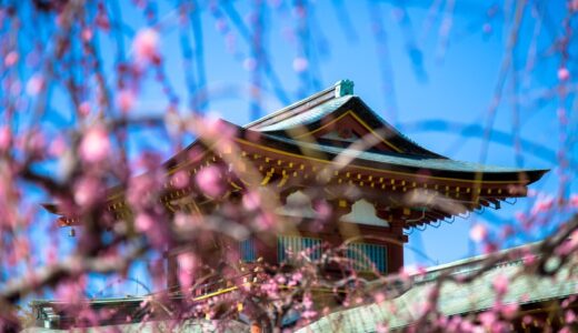 防府天満宮 梅まつり