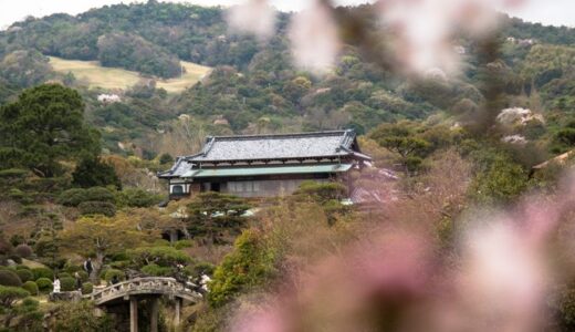 毛利庭園の桜2017①