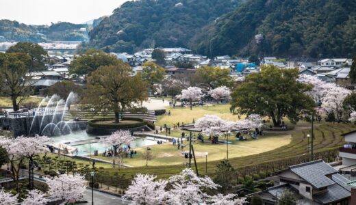 2018年春 sakura⑤
