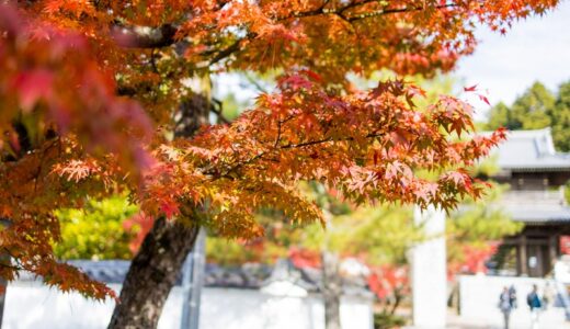 鹿苑山 漢陽寺⑦