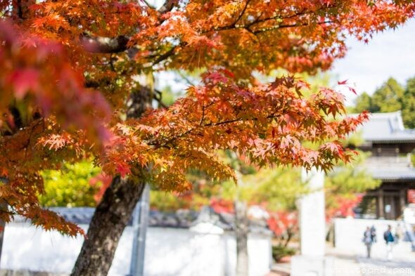 漢陽寺