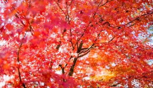 鹿苑山 漢陽寺⑥