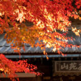 2022鹿苑山 漢陽寺⑤