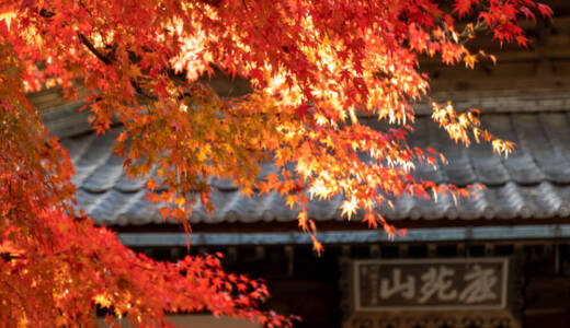 漢陽寺の紅葉を撮りに行って来ました