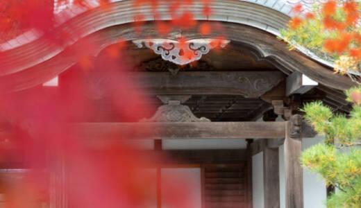 2022鹿苑山 漢陽寺①