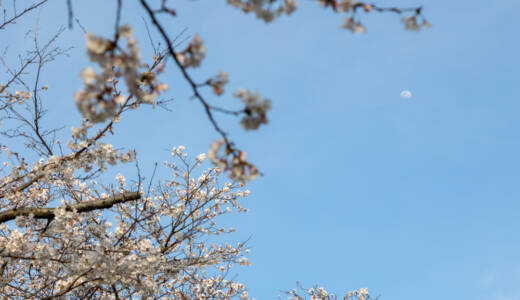月と桜と空と