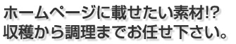 ホームページに載せたい素材!? 収穫から調理までお任せ下さい。