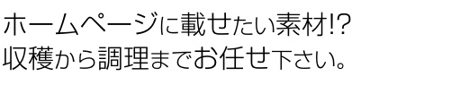 ホームページに載せたい素材!? 収穫から調理までお任せ下さい。